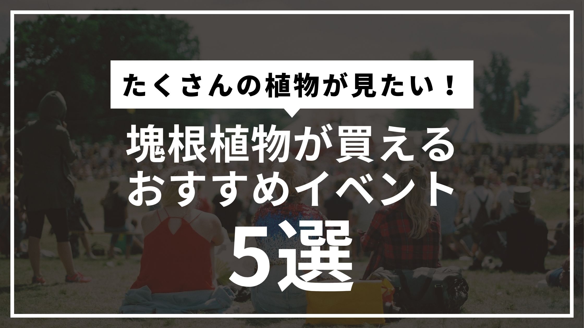 塊根植物が買えるおすすめイベント5選【東京/千葉/静岡】 | 塊根植物 